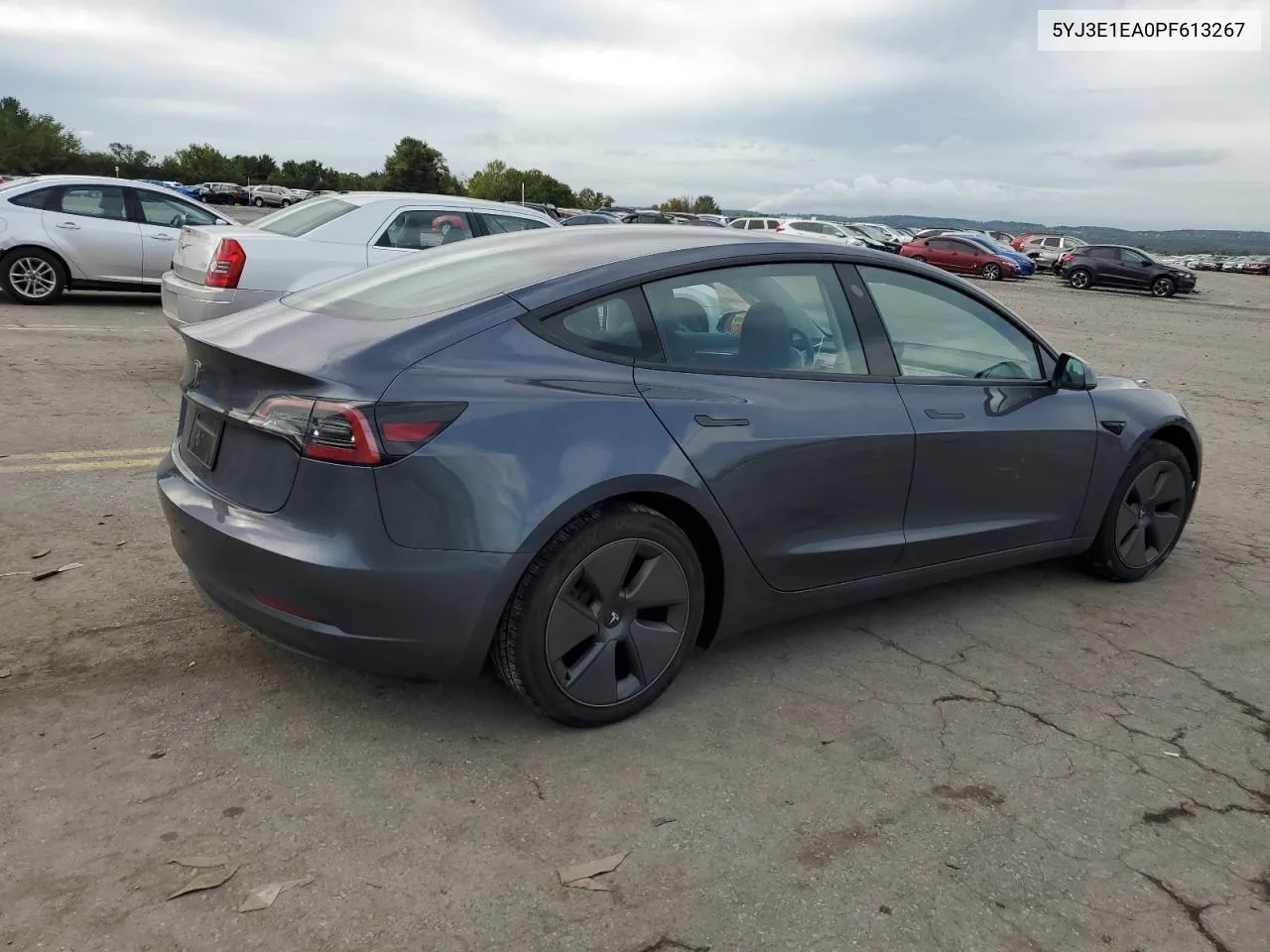 2023 Tesla Model 3 VIN: 5YJ3E1EA0PF613267 Lot: 73534074