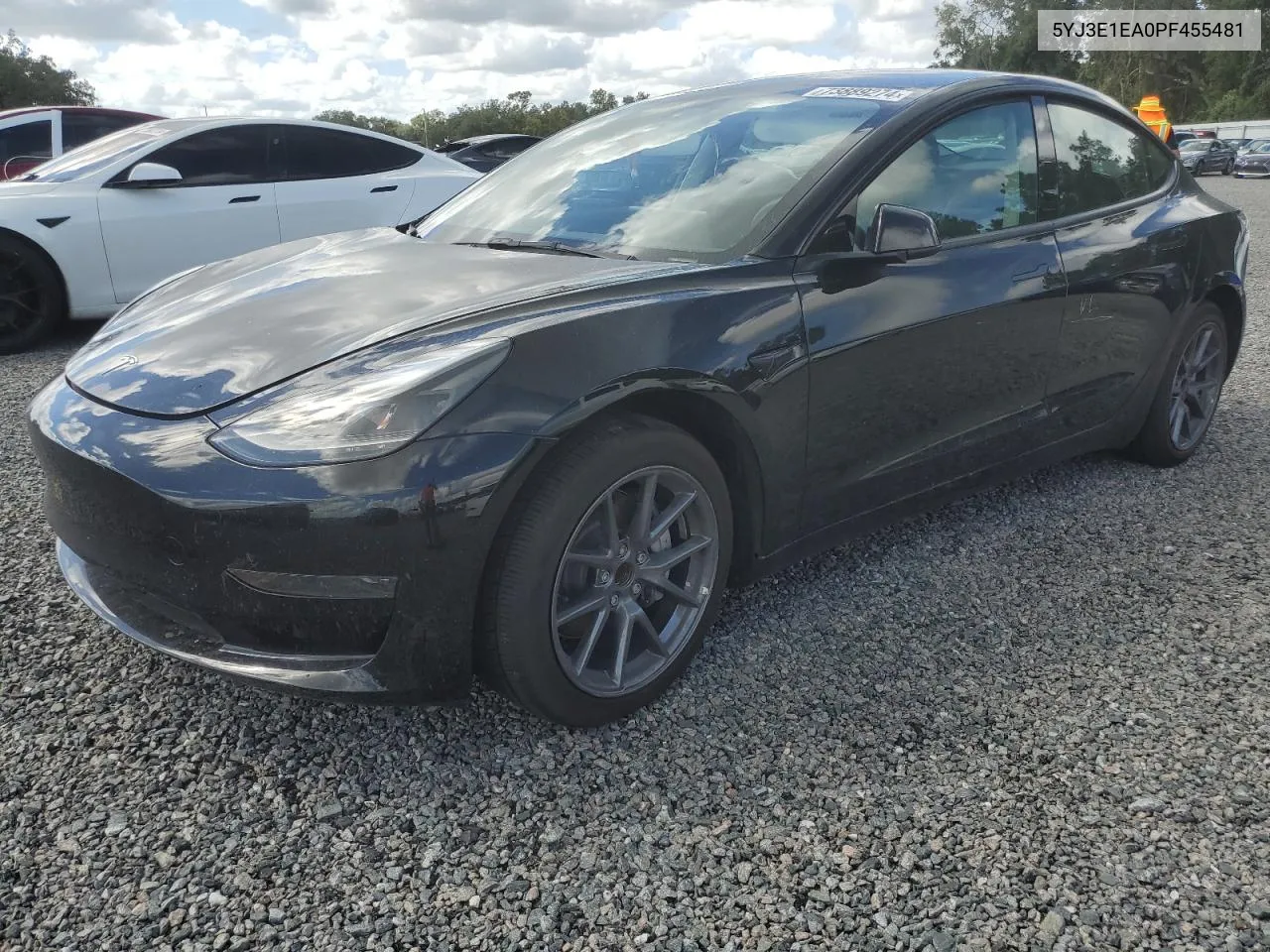 5YJ3E1EA0PF455481 2023 Tesla Model 3