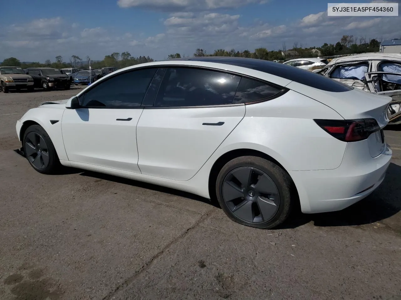 2023 Tesla Model 3 VIN: 5YJ3E1EA5PF454360 Lot: 74674164