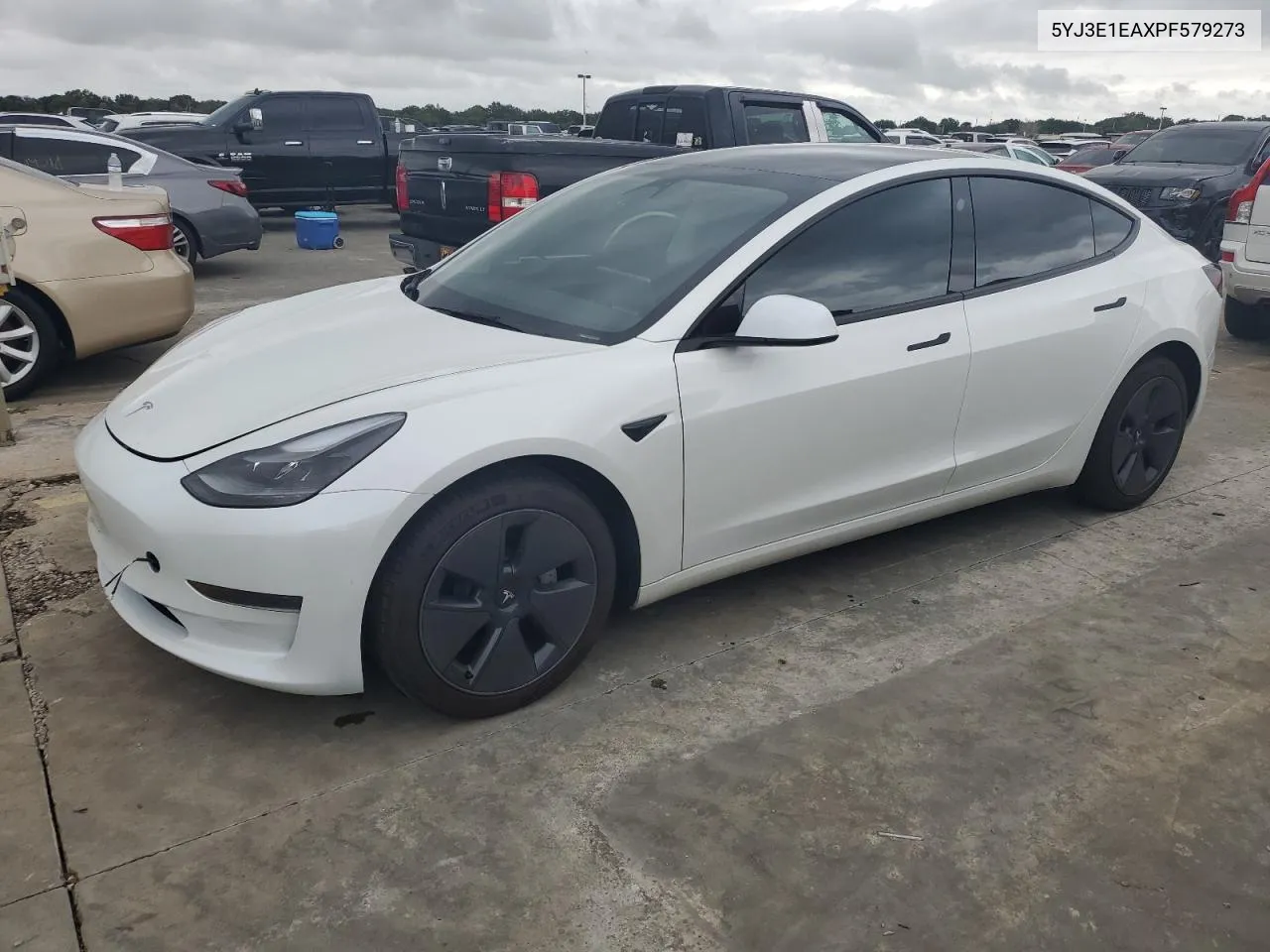 2023 Tesla Model 3 VIN: 5YJ3E1EAXPF579273 Lot: 74883874