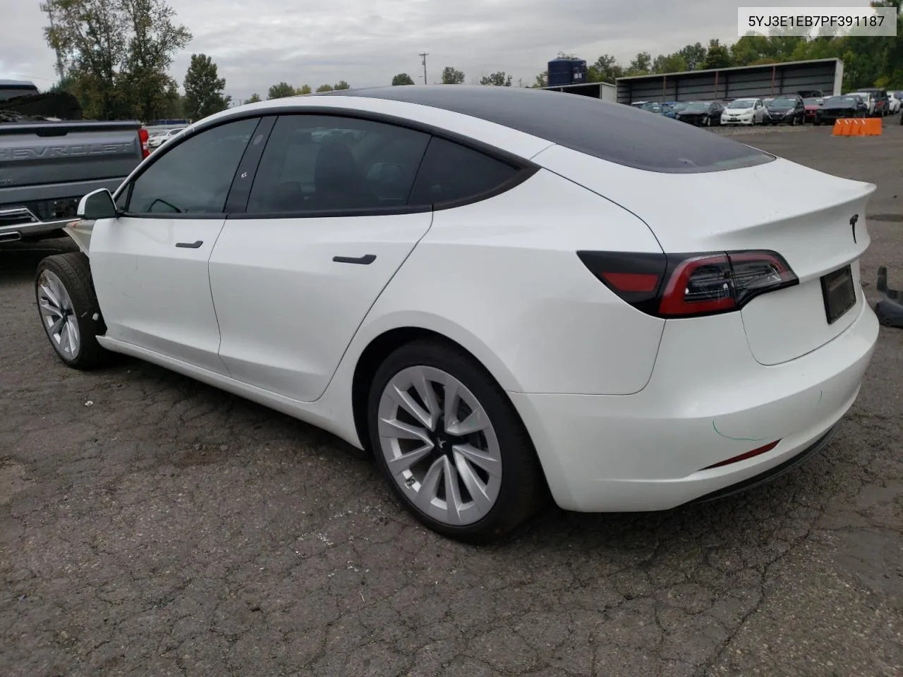 2023 Tesla Model 3 VIN: 5YJ3E1EB7PF391187 Lot: 75269024