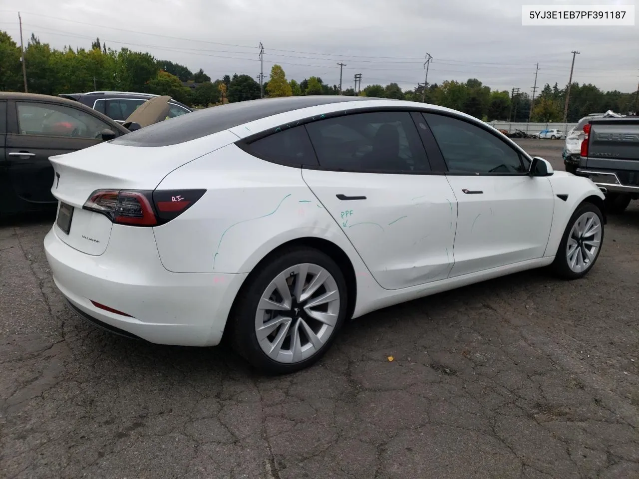 5YJ3E1EB7PF391187 2023 Tesla Model 3