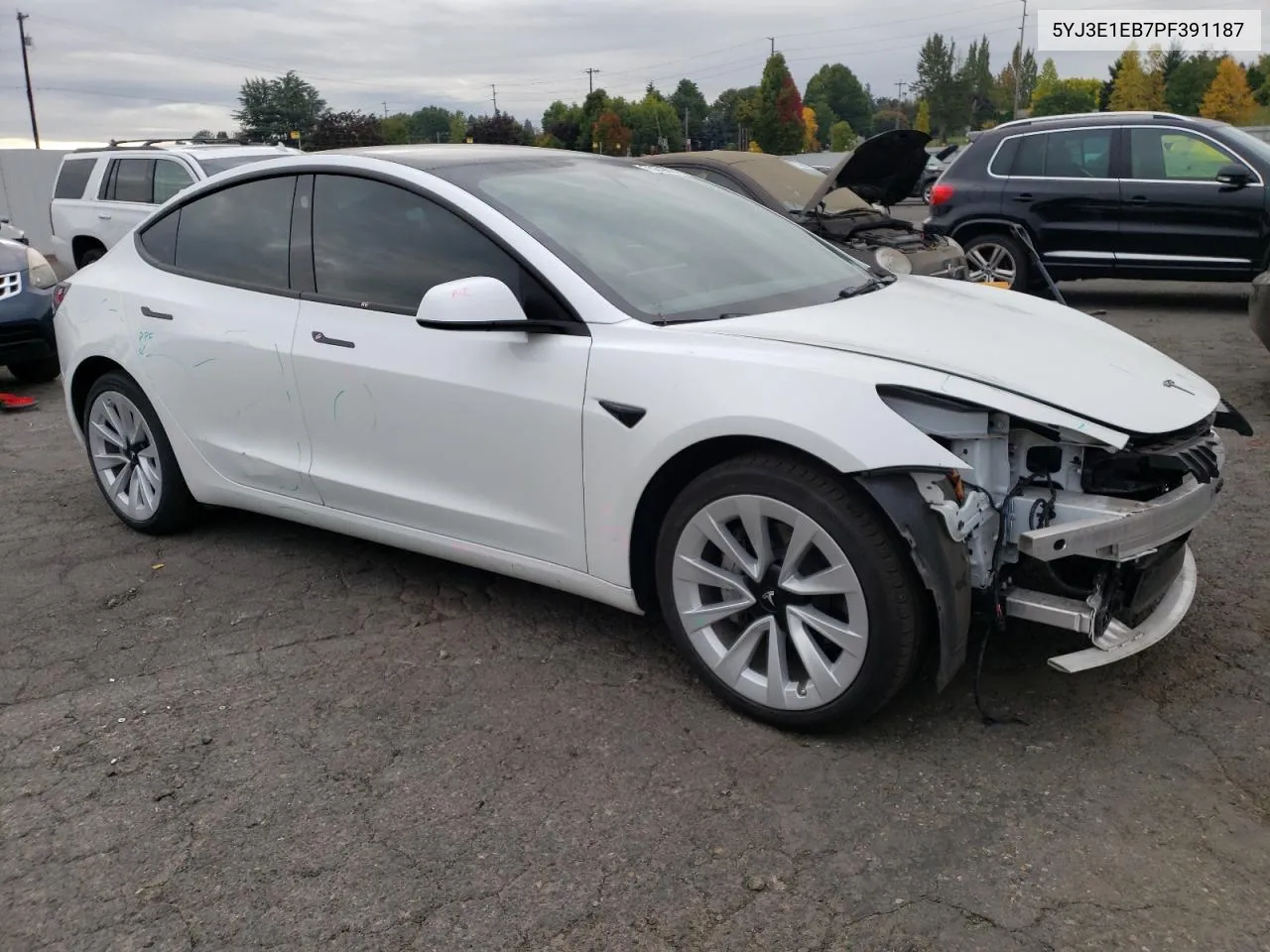 2023 Tesla Model 3 VIN: 5YJ3E1EB7PF391187 Lot: 75269024