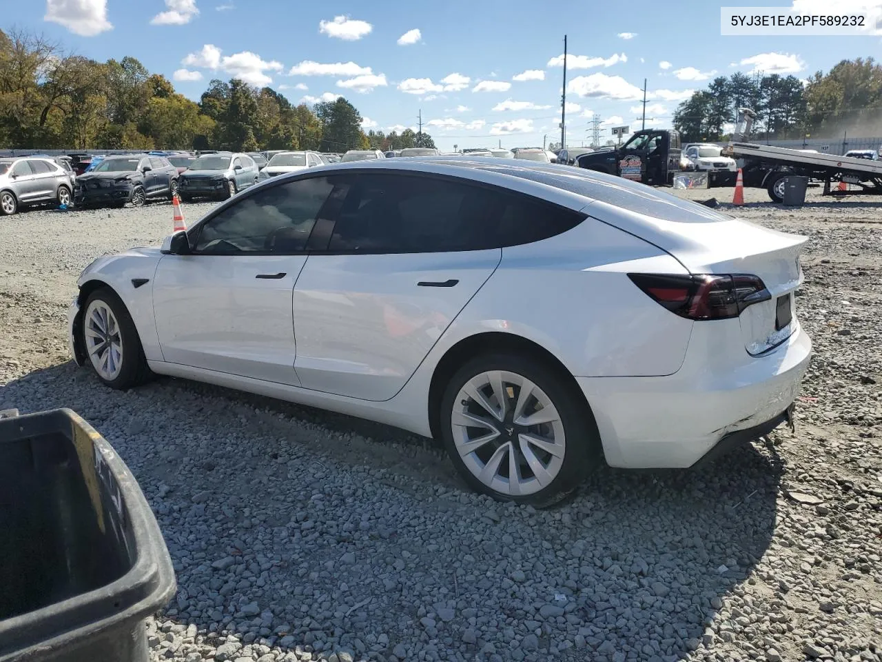 2023 Tesla Model 3 VIN: 5YJ3E1EA2PF589232 Lot: 76497874