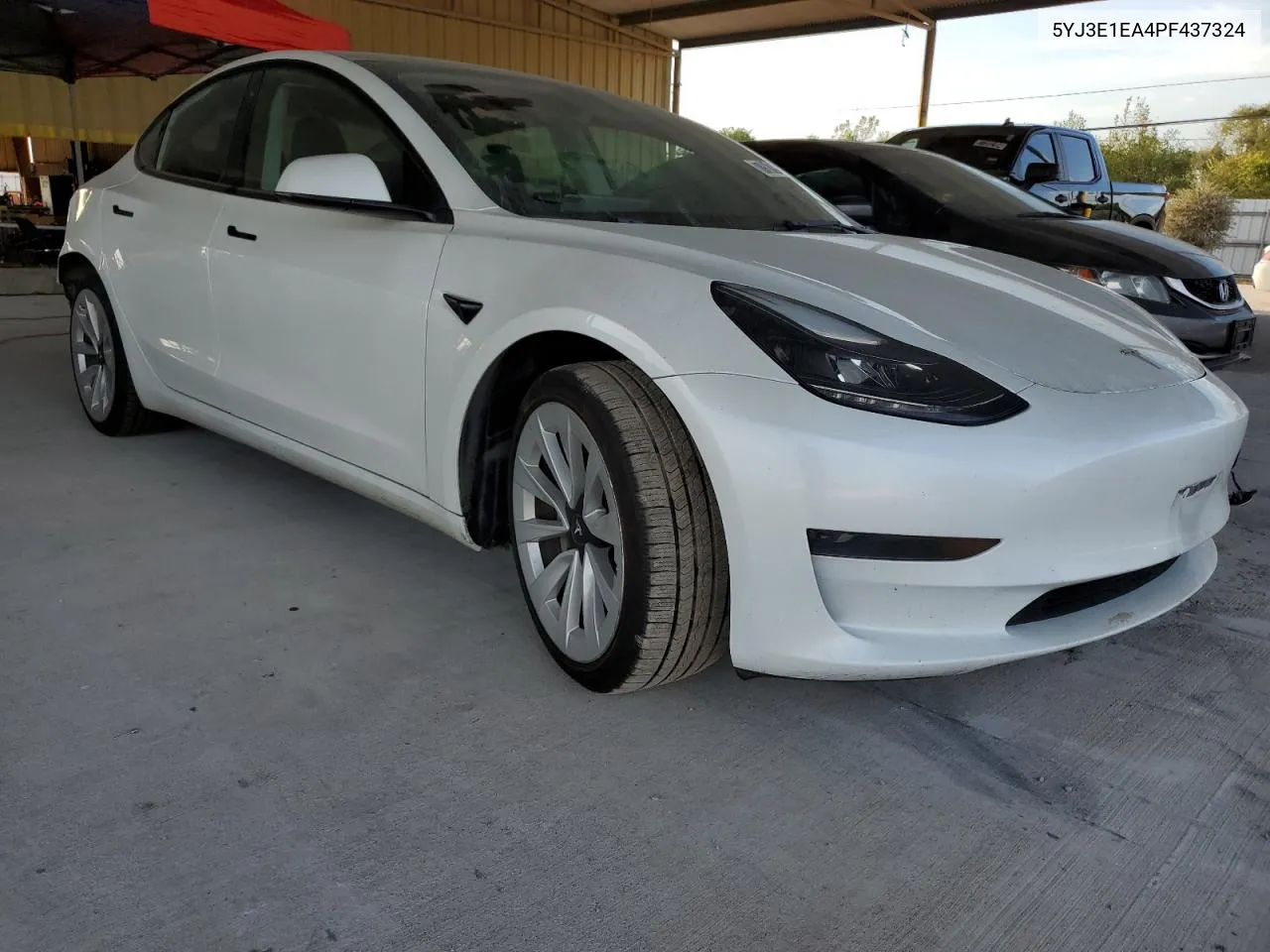 2023 Tesla Model 3 VIN: 5YJ3E1EA4PF437324 Lot: 77581984