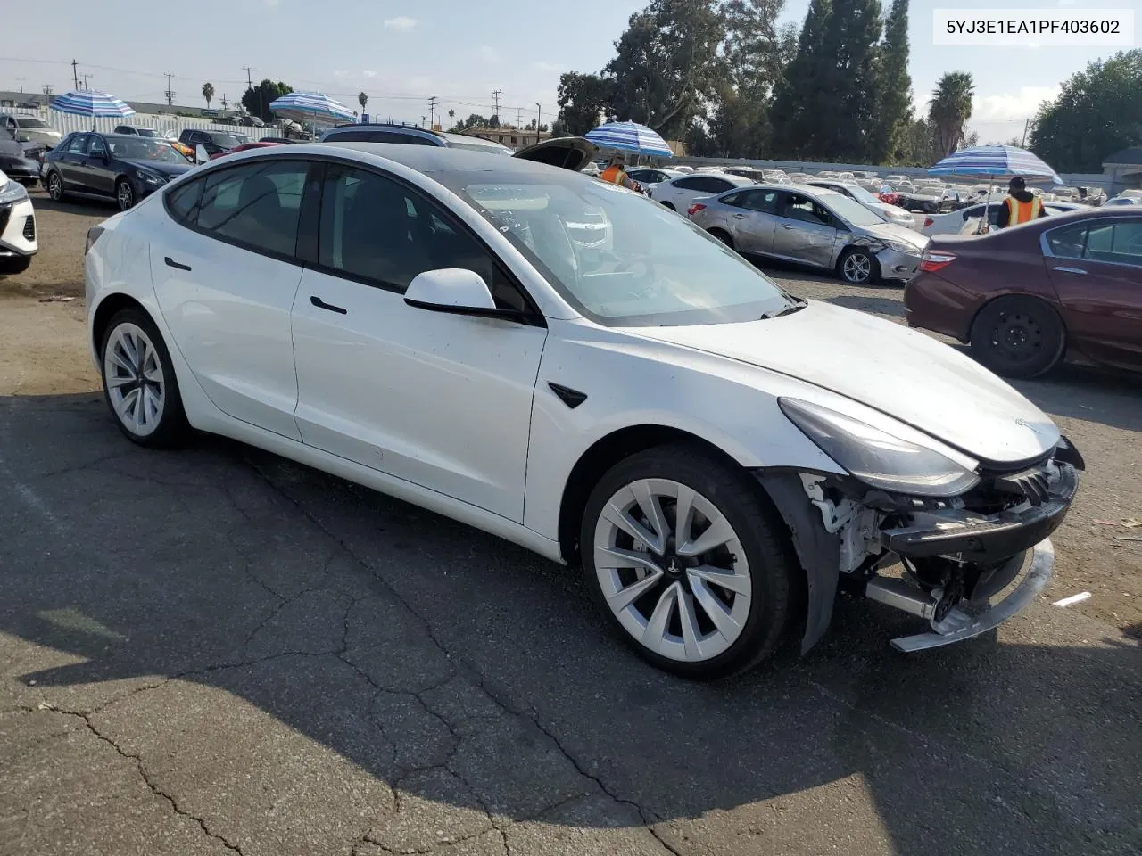 2023 Tesla Model 3 VIN: 5YJ3E1EA1PF403602 Lot: 77637124