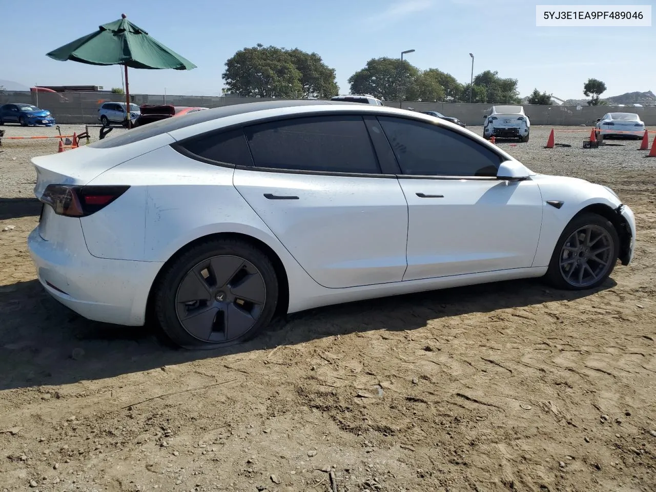 2023 Tesla Model 3 VIN: 5YJ3E1EA9PF489046 Lot: 77873204