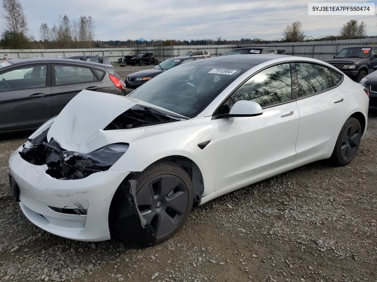 2023 Tesla Model 3 VIN: 5YJ3E1EA7PF550474 Lot: 77910984