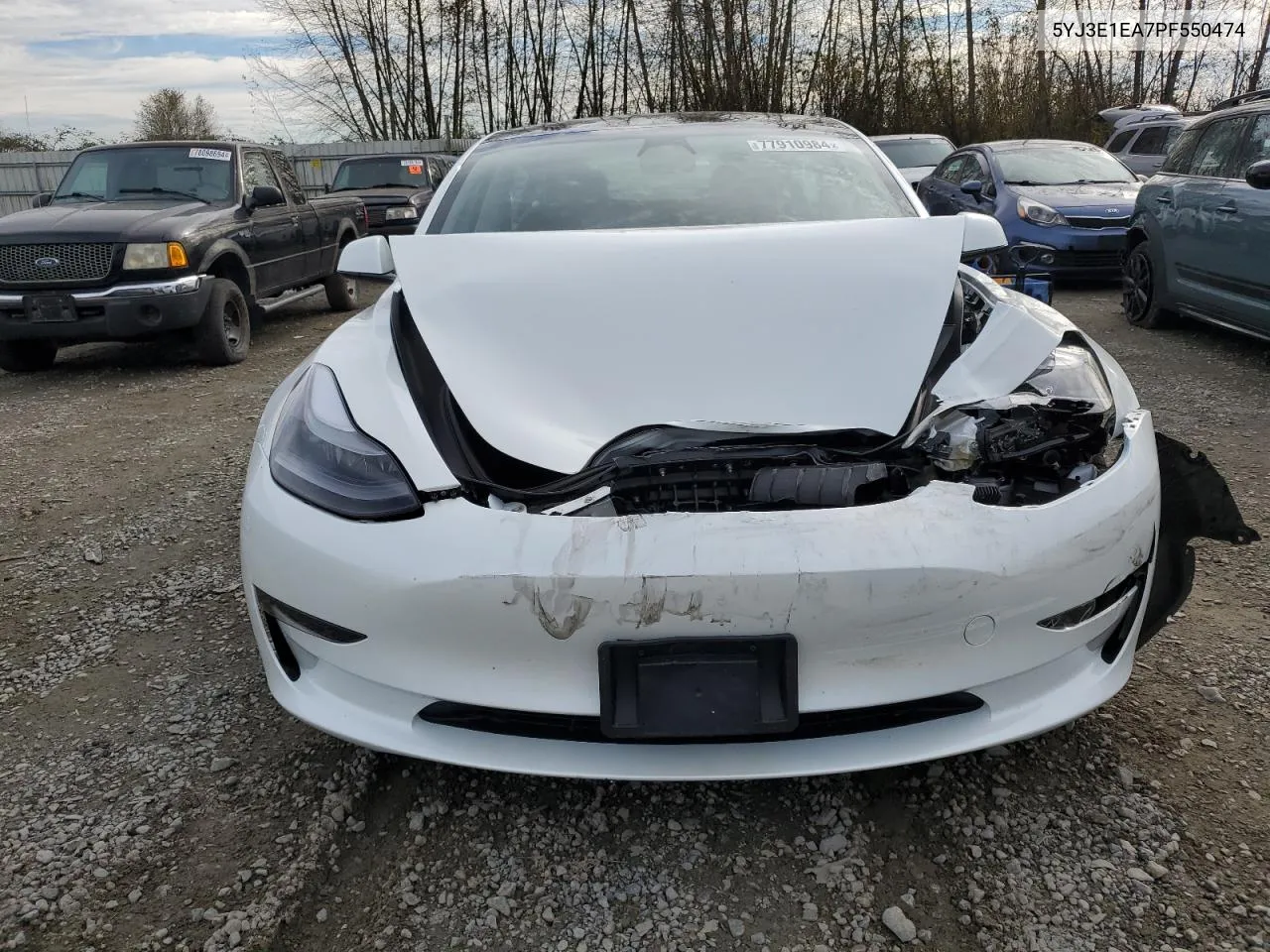 2023 Tesla Model 3 VIN: 5YJ3E1EA7PF550474 Lot: 77910984