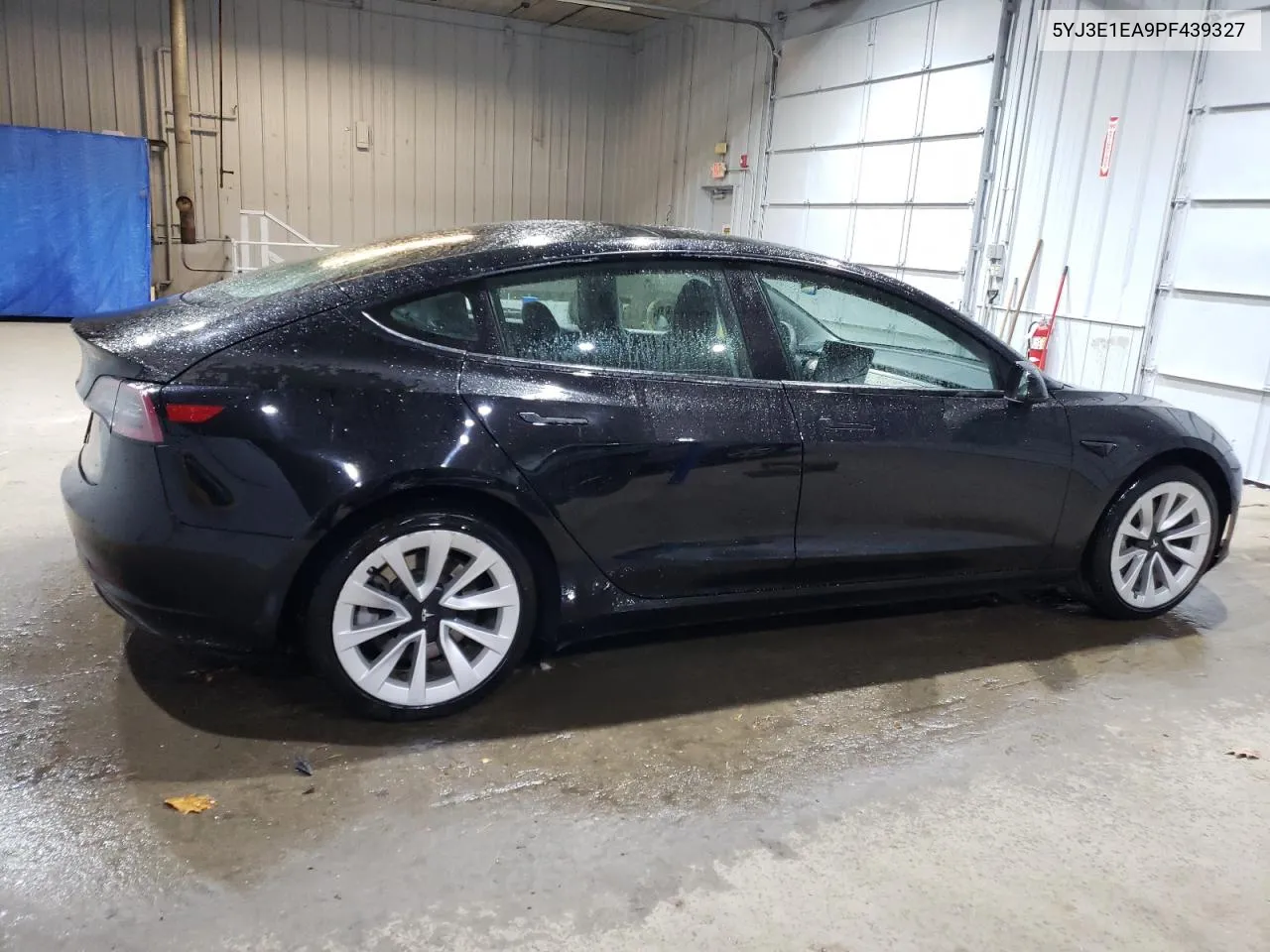 2023 Tesla Model 3 VIN: 5YJ3E1EA9PF439327 Lot: 77952884