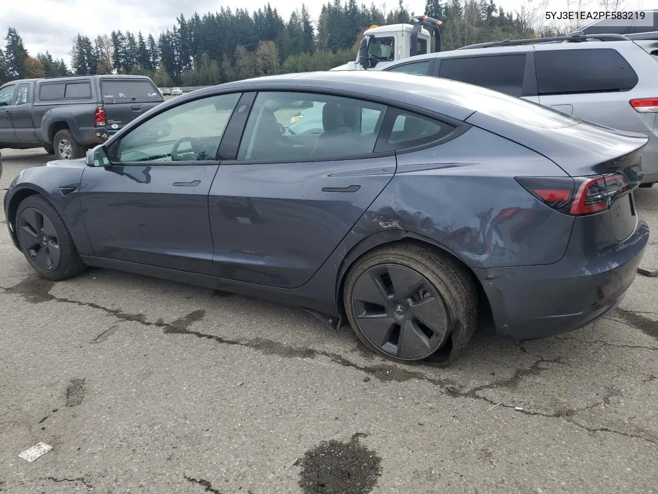 2023 Tesla Model 3 VIN: 5YJ3E1EA2PF583219 Lot: 78058854