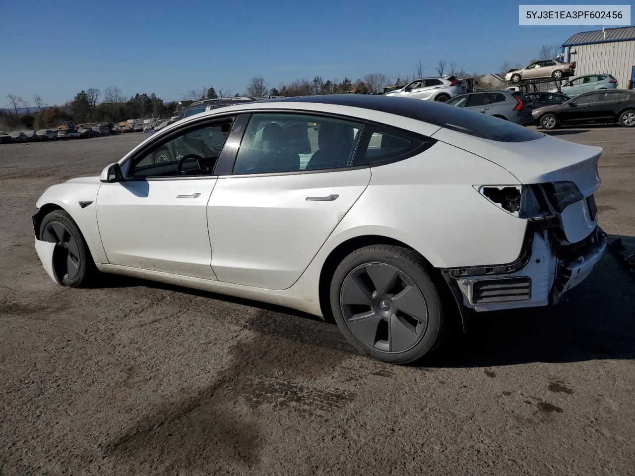 2023 Tesla Model 3 VIN: 5YJ3E1EA3PF602456 Lot: 78789164