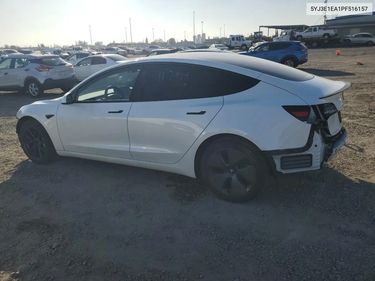 2023 Tesla Model 3 VIN: 5YJ3E1EA1PF516157 Lot: 79946494