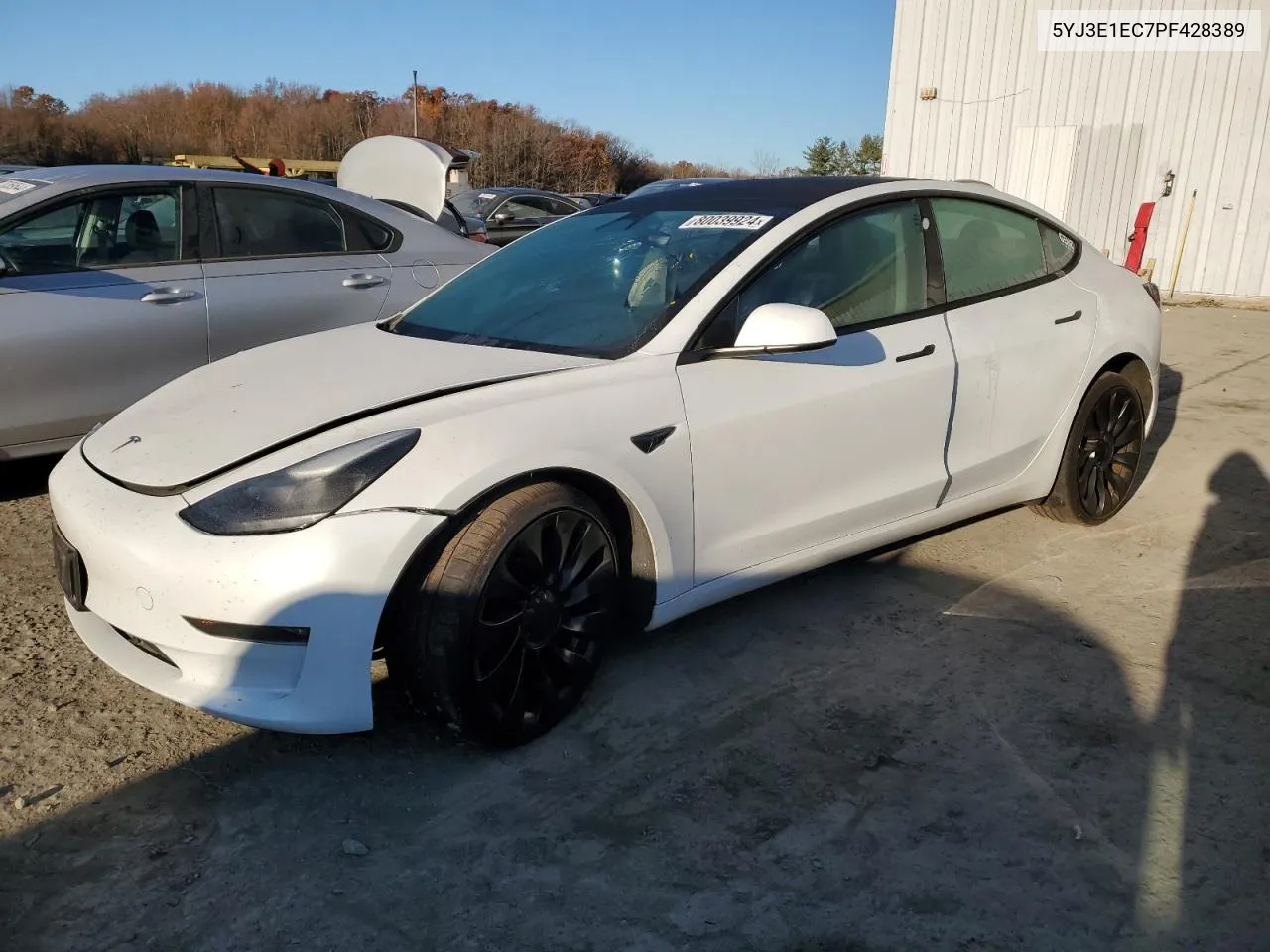 2023 Tesla Model 3 VIN: 5YJ3E1EC7PF428389 Lot: 80039924