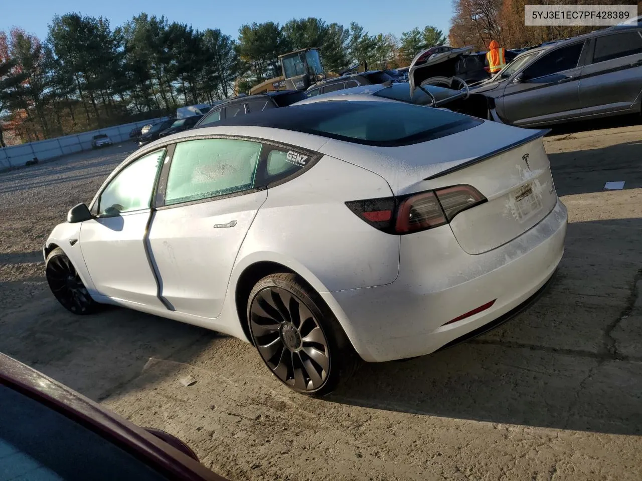 2023 Tesla Model 3 VIN: 5YJ3E1EC7PF428389 Lot: 80039924