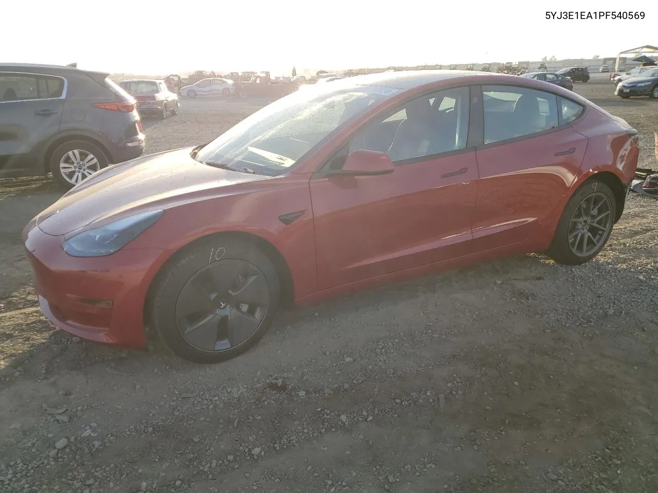 2023 Tesla Model 3 VIN: 5YJ3E1EA1PF540569 Lot: 80352124