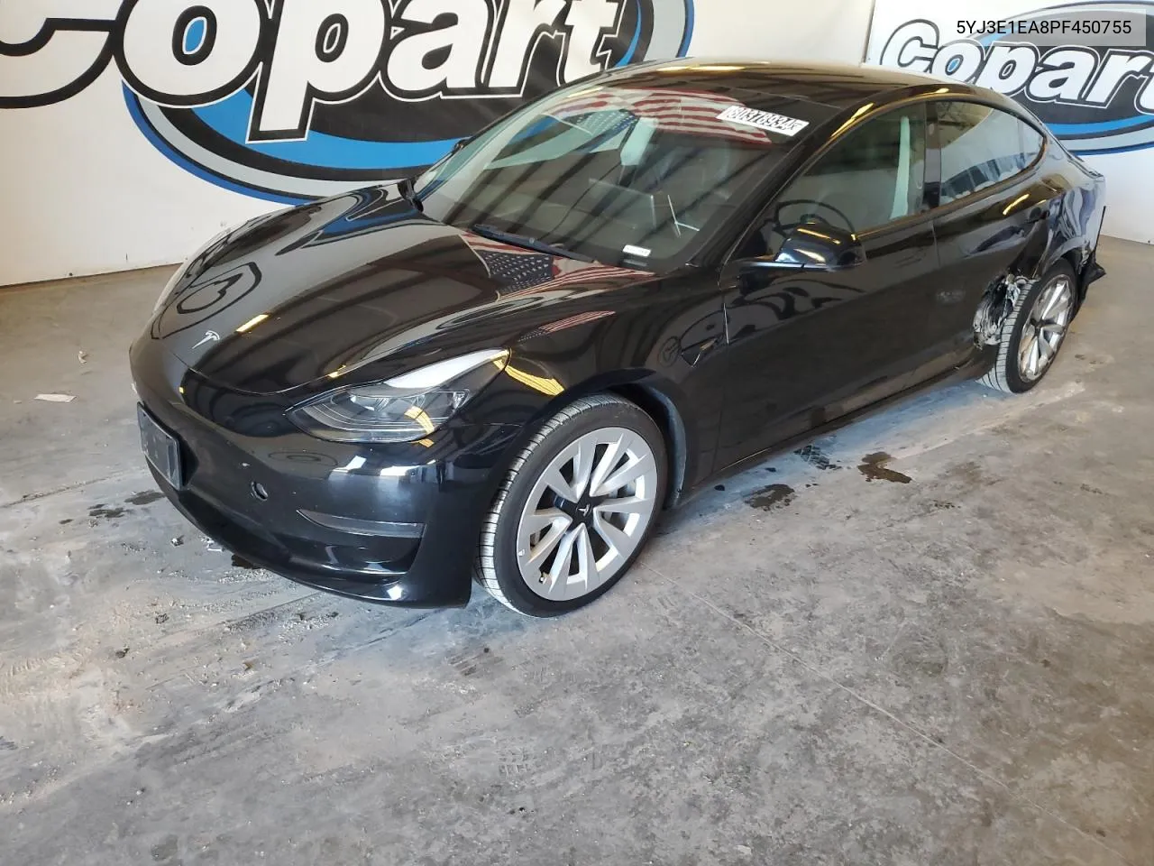 2023 Tesla Model 3 VIN: 5YJ3E1EA8PF450755 Lot: 80378934