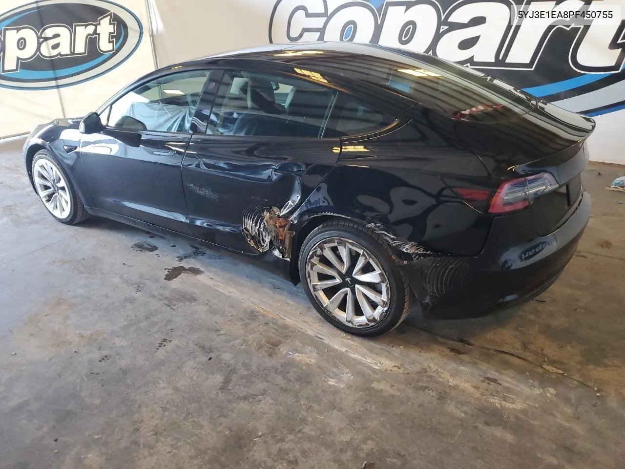 2023 Tesla Model 3 VIN: 5YJ3E1EA8PF450755 Lot: 80378934