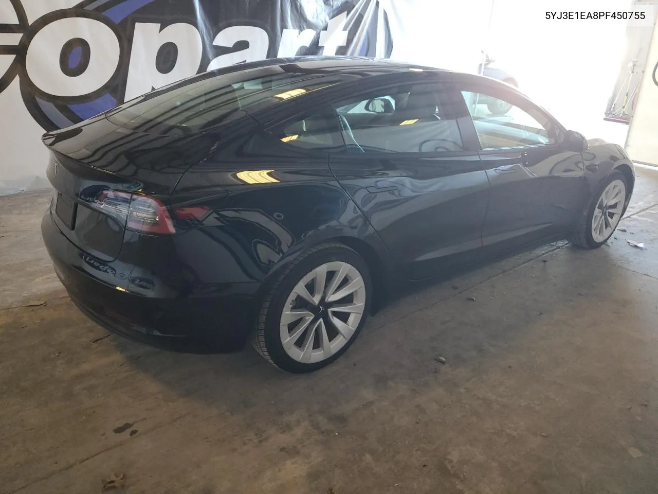 2023 Tesla Model 3 VIN: 5YJ3E1EA8PF450755 Lot: 80378934