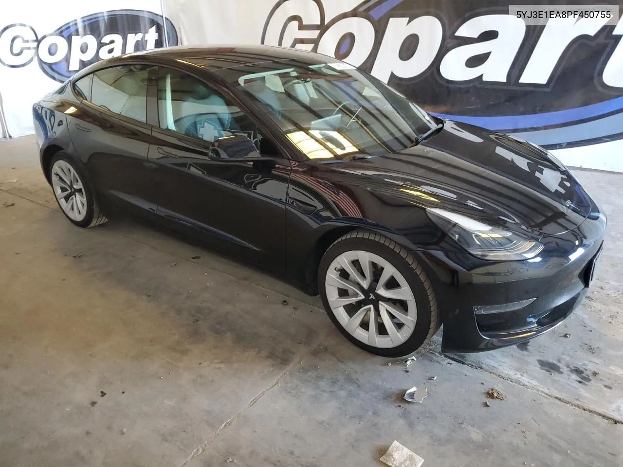 2023 Tesla Model 3 VIN: 5YJ3E1EA8PF450755 Lot: 80378934