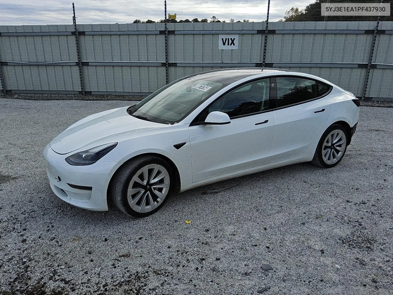 2023 Tesla Model 3 VIN: 5YJ3E1EA1PF437930 Lot: 80674764