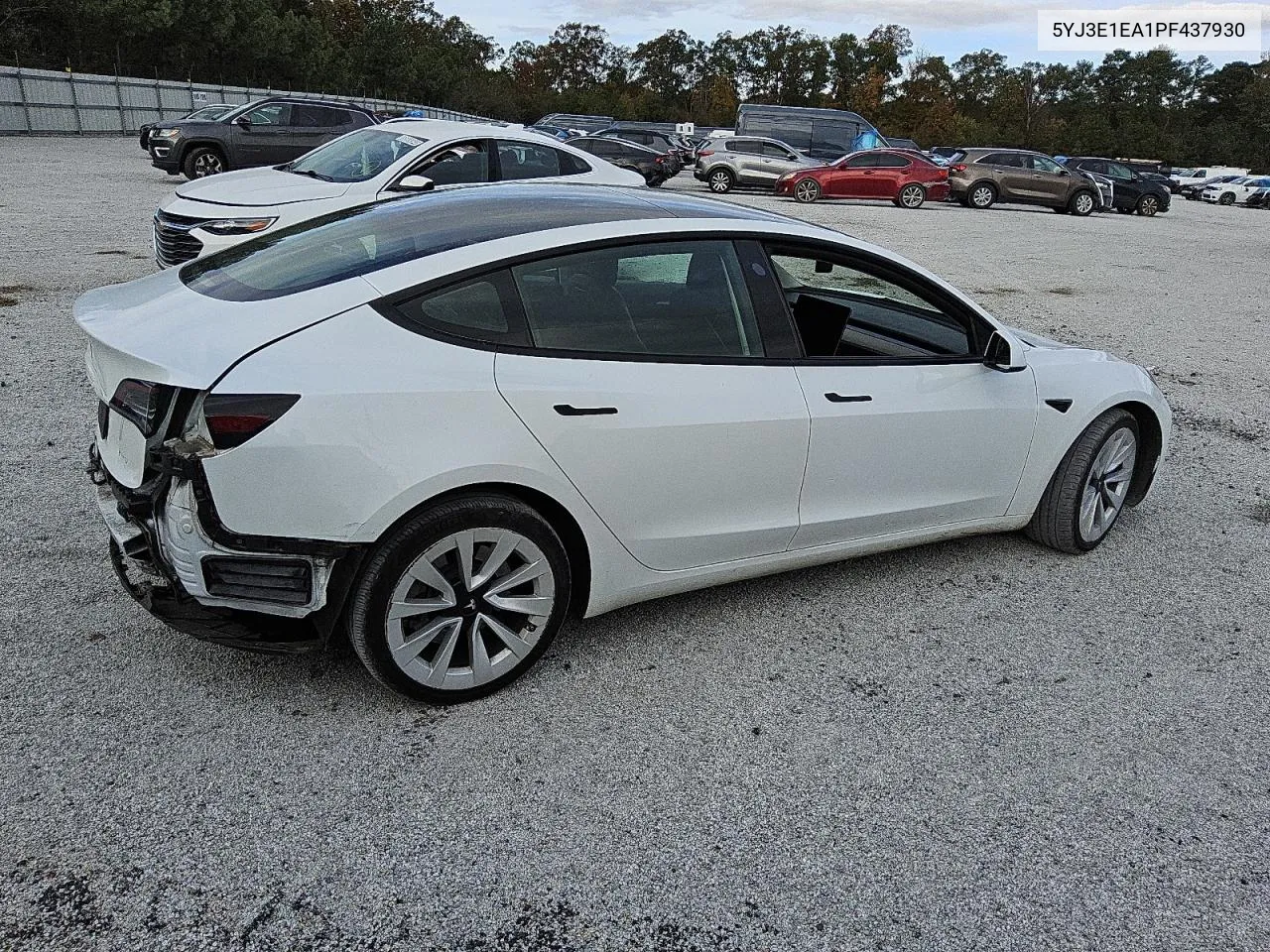 2023 Tesla Model 3 VIN: 5YJ3E1EA1PF437930 Lot: 80674764