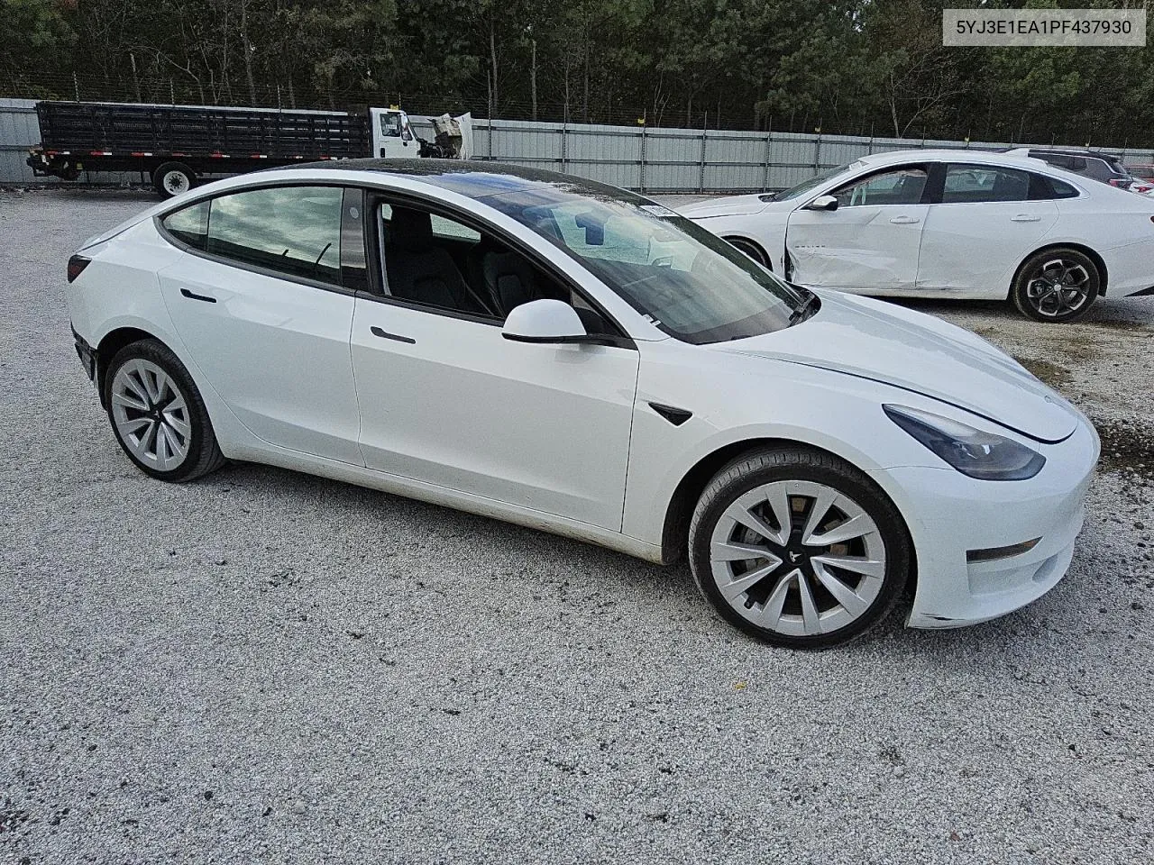 2023 Tesla Model 3 VIN: 5YJ3E1EA1PF437930 Lot: 80674764