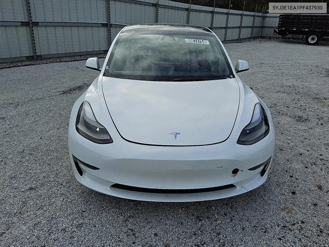 2023 Tesla Model 3 VIN: 5YJ3E1EA1PF437930 Lot: 80674764