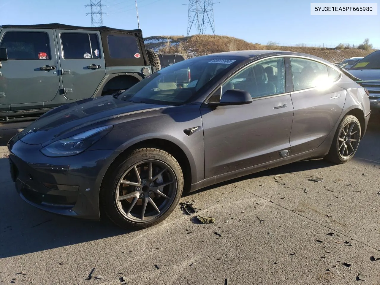 2023 Tesla Model 3 VIN: 5YJ3E1EA5PF665980 Lot: 80891604