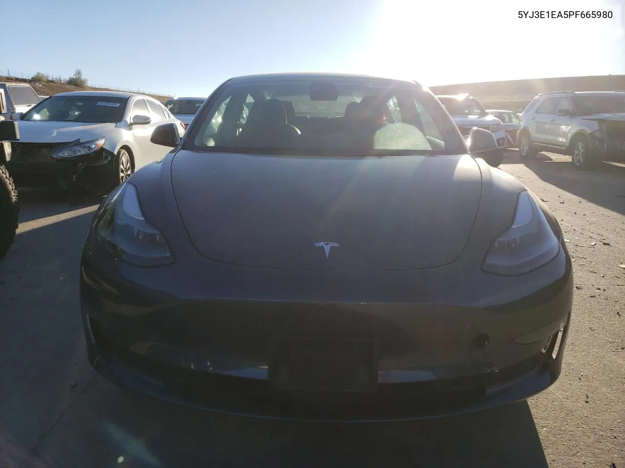 2023 Tesla Model 3 VIN: 5YJ3E1EA5PF665980 Lot: 80891604