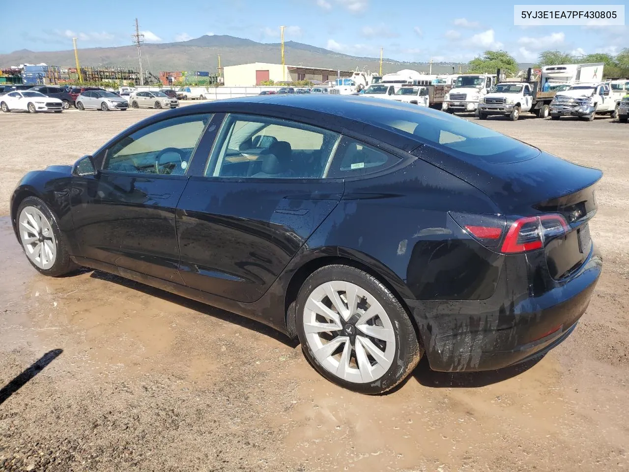 2023 Tesla Model 3 VIN: 5YJ3E1EA7PF430805 Lot: 81177604