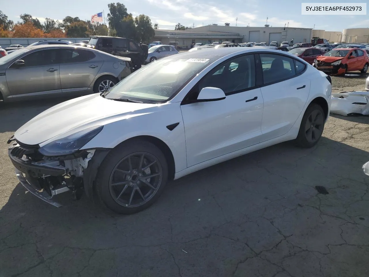 2023 Tesla Model 3 VIN: 5YJ3E1EA6PF452973 Lot: 81329694