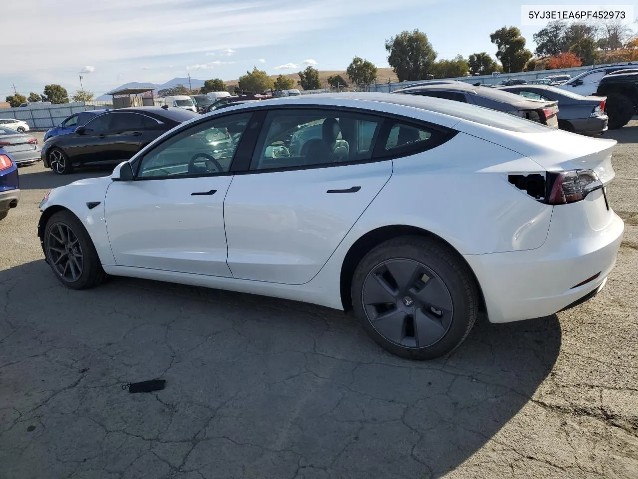 2023 Tesla Model 3 VIN: 5YJ3E1EA6PF452973 Lot: 81329694