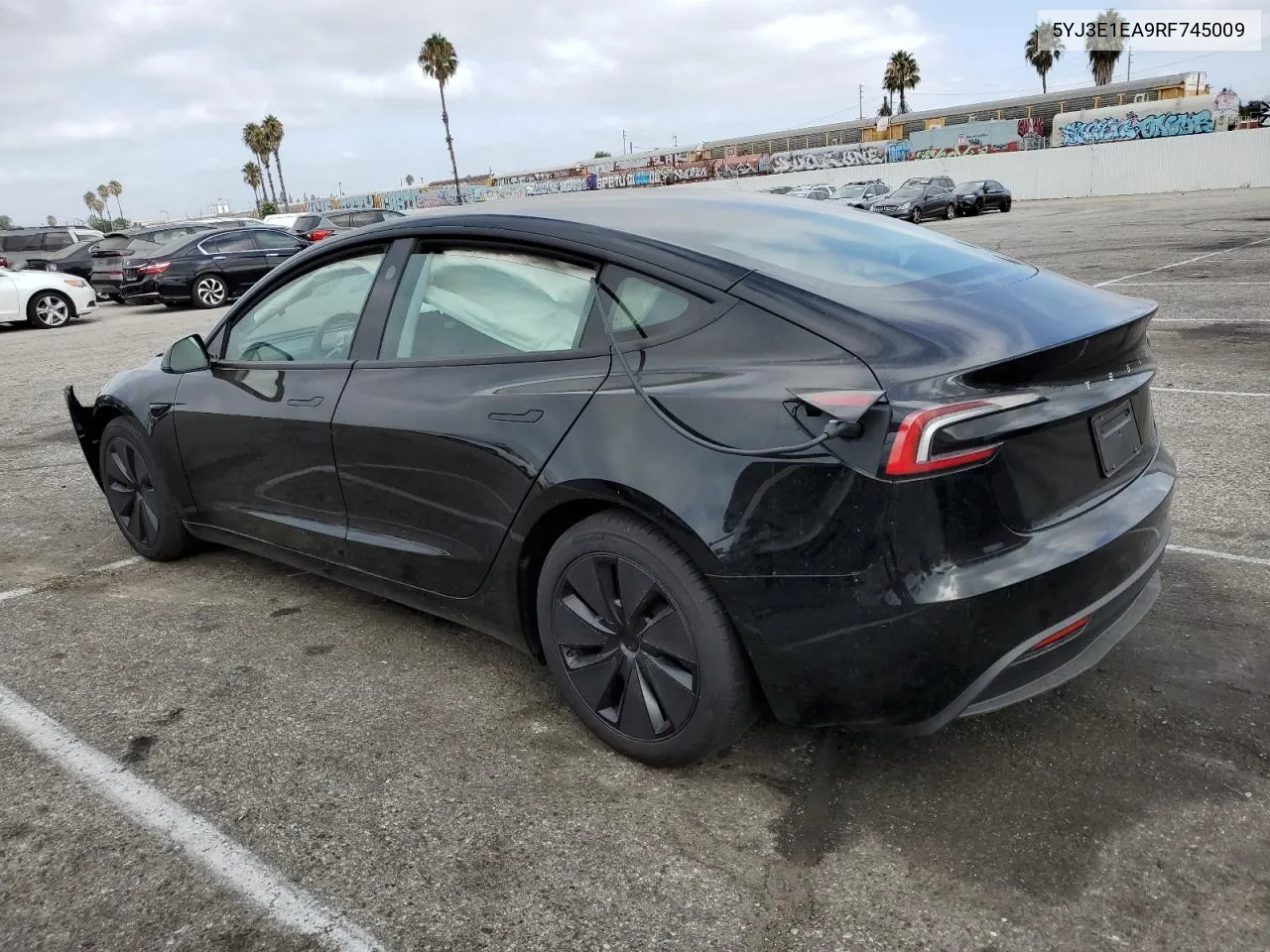 2024 Tesla Model 3 VIN: 5YJ3E1EA9RF745009 Lot: 65848794