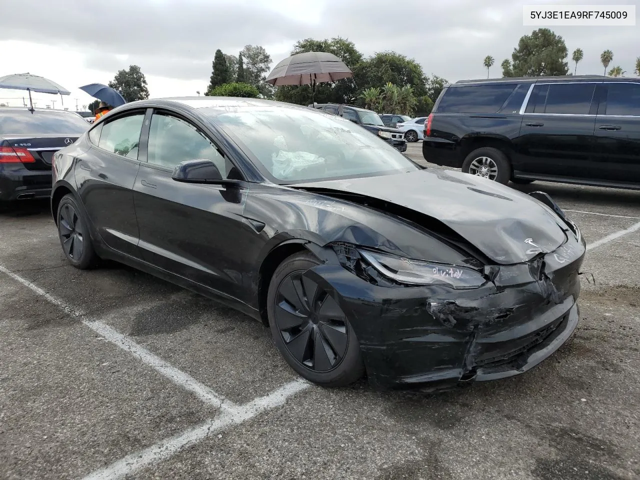 2024 Tesla Model 3 VIN: 5YJ3E1EA9RF745009 Lot: 65848794