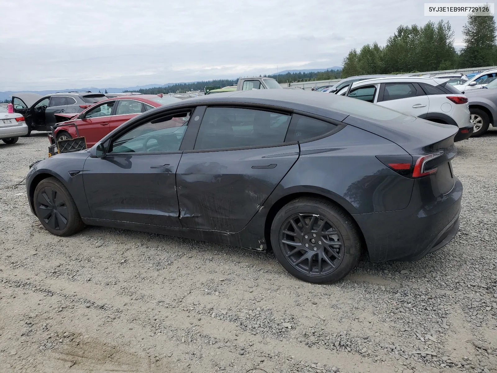 2024 Tesla Model 3 VIN: 5YJ3E1EB9RF729126 Lot: 66927924