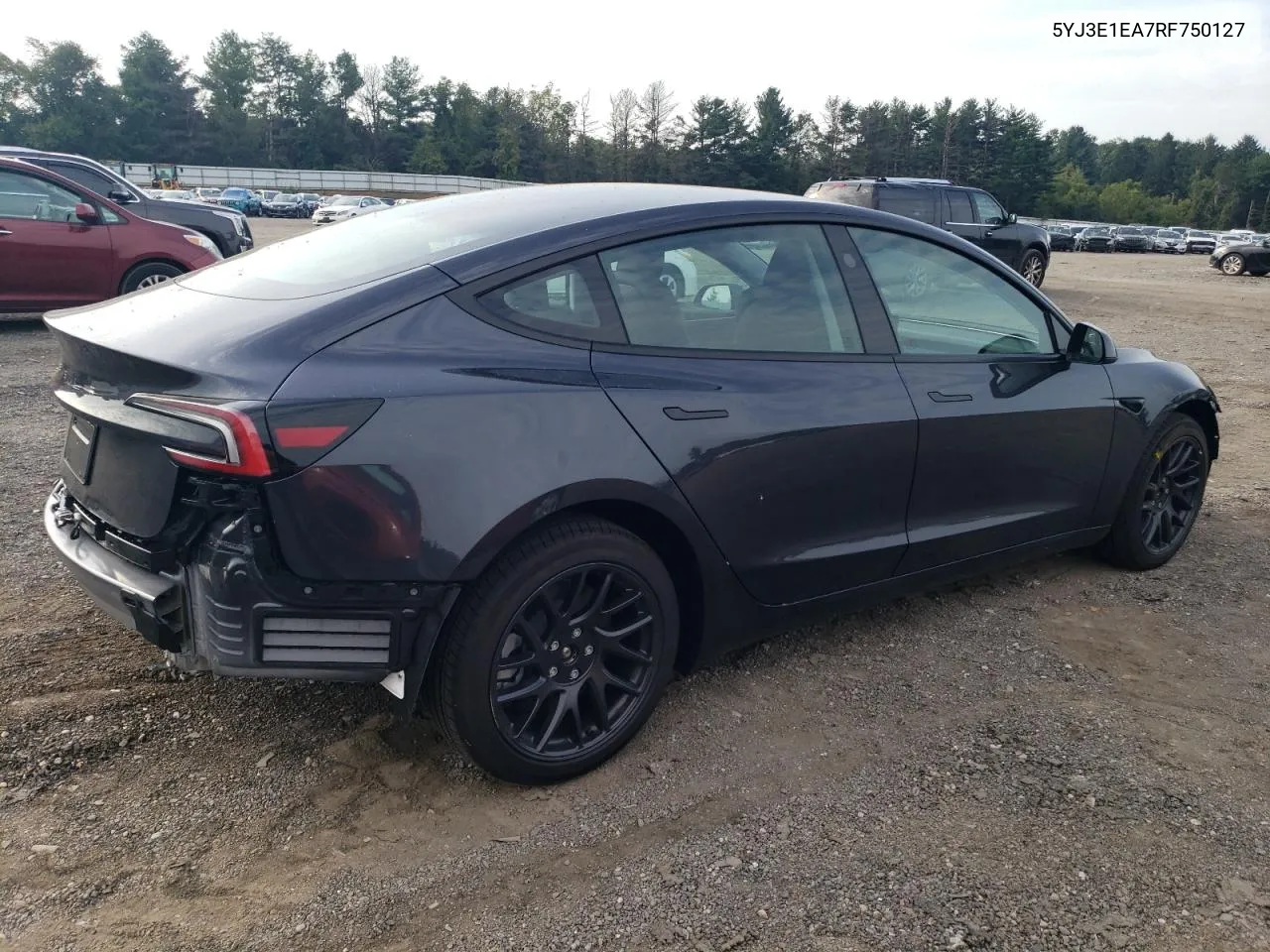 2024 Tesla Model 3 VIN: 5YJ3E1EA7RF750127 Lot: 68733754