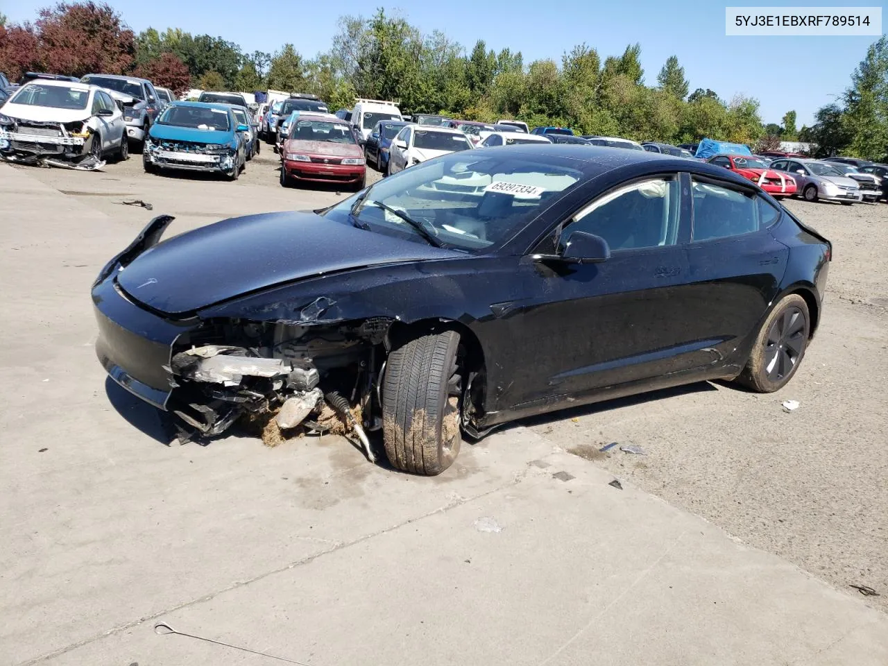 2024 Tesla Model 3 VIN: 5YJ3E1EBXRF789514 Lot: 69397334