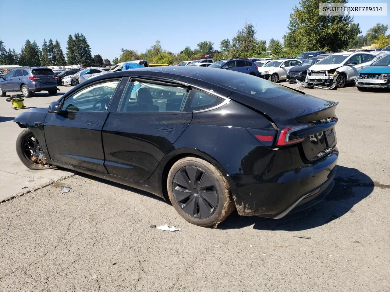 2024 Tesla Model 3 VIN: 5YJ3E1EBXRF789514 Lot: 69397334