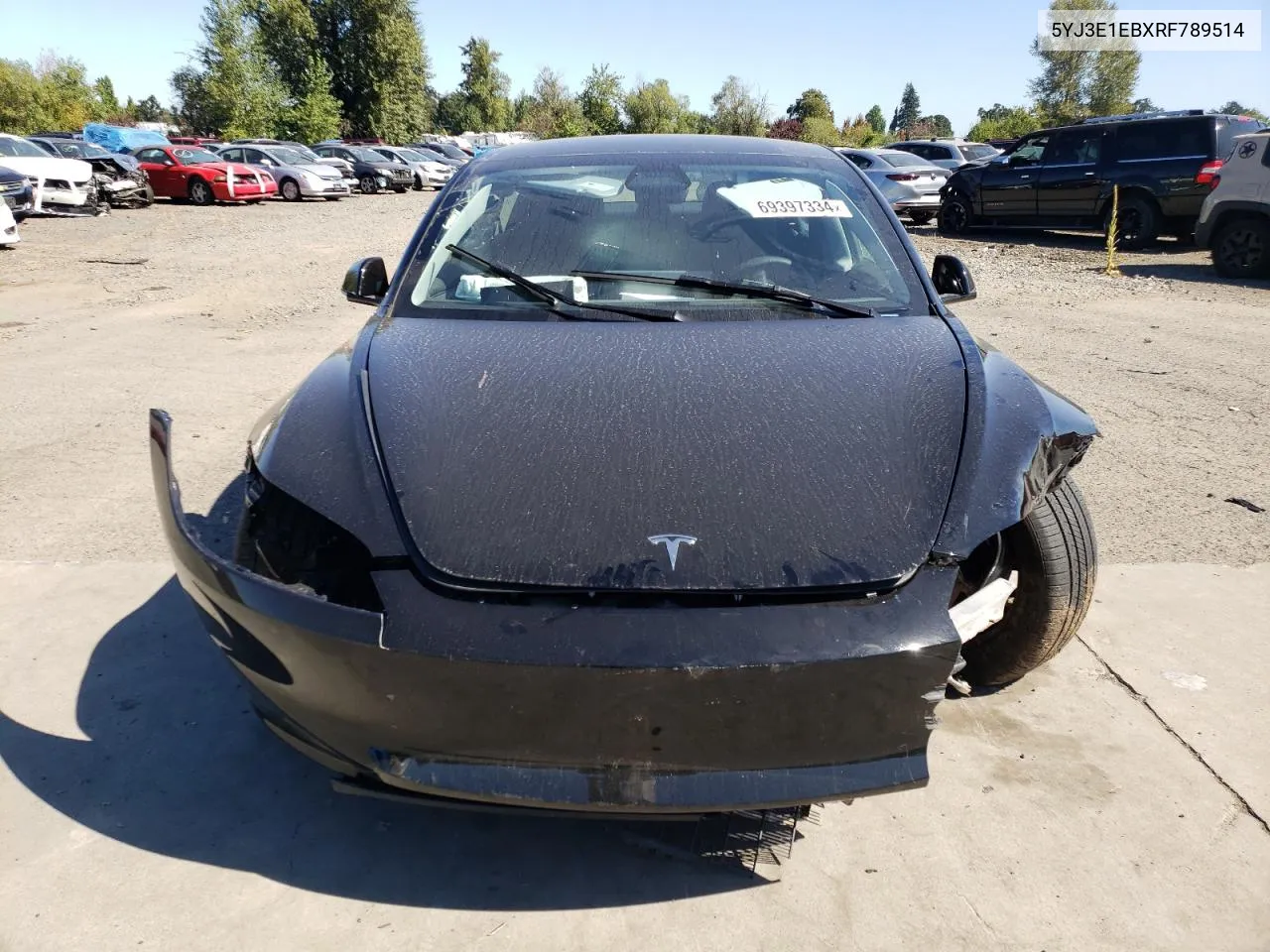 2024 Tesla Model 3 VIN: 5YJ3E1EBXRF789514 Lot: 69397334