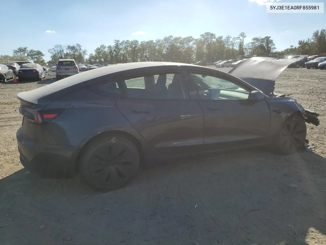 2024 Tesla Model 3 VIN: 5YJ3E1EA0RF855981 Lot: 74825094