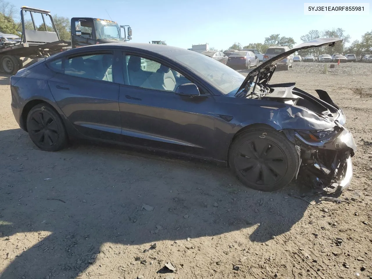 2024 Tesla Model 3 VIN: 5YJ3E1EA0RF855981 Lot: 74825094