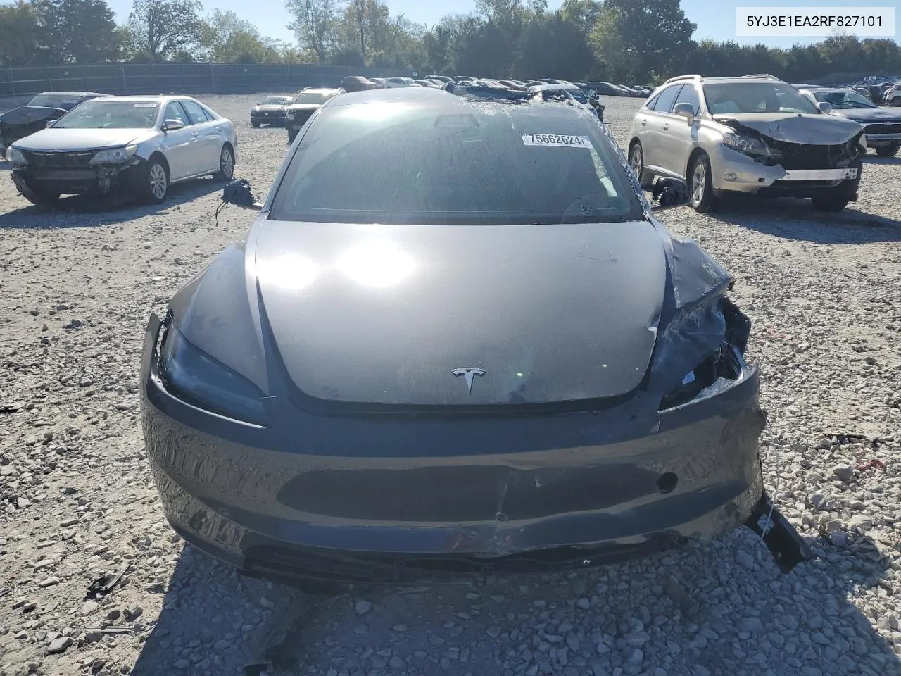 2024 Tesla Model 3 VIN: 5YJ3E1EA2RF827101 Lot: 75662624