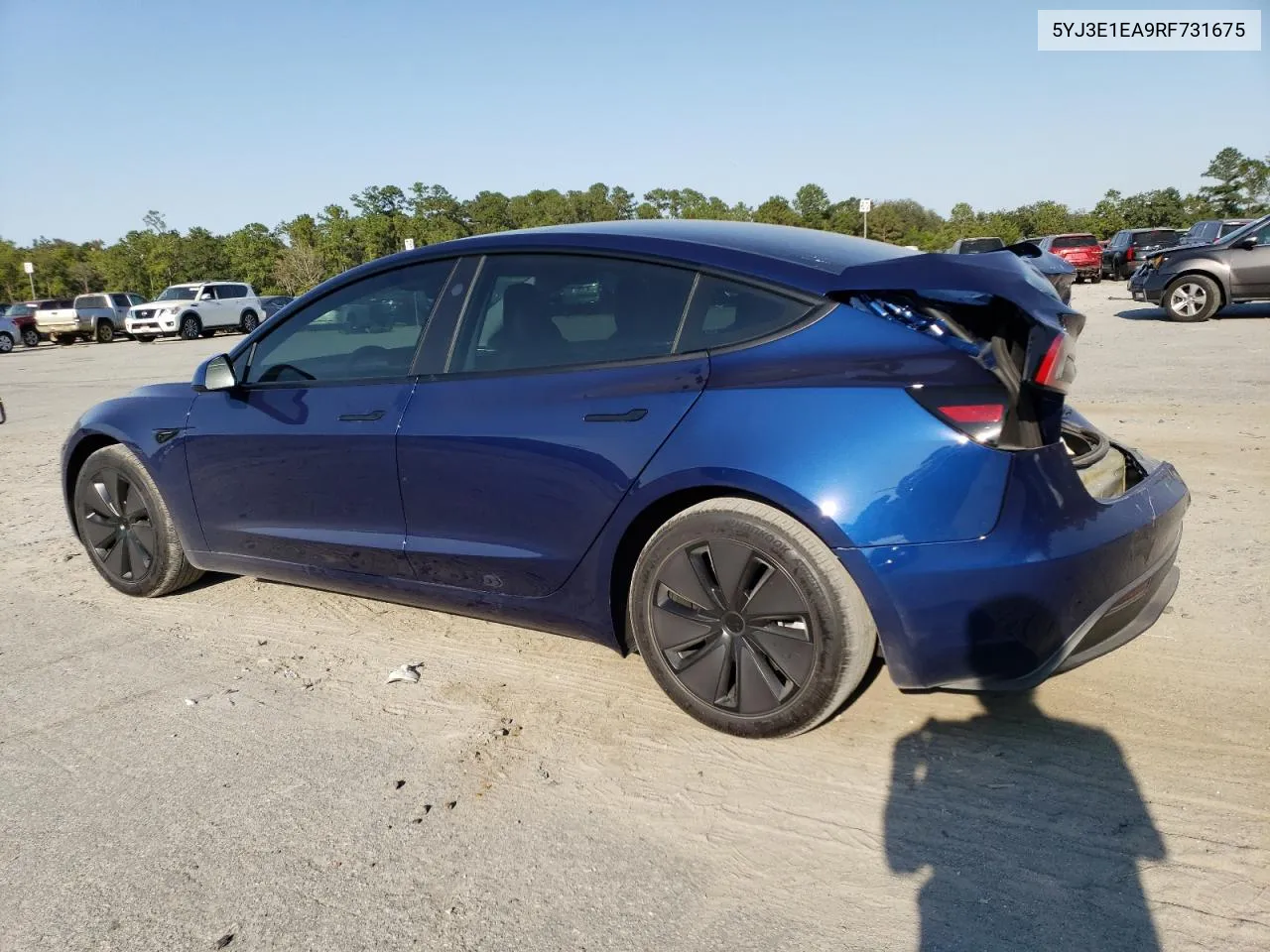 2024 Tesla Model 3 VIN: 5YJ3E1EA9RF731675 Lot: 76206574