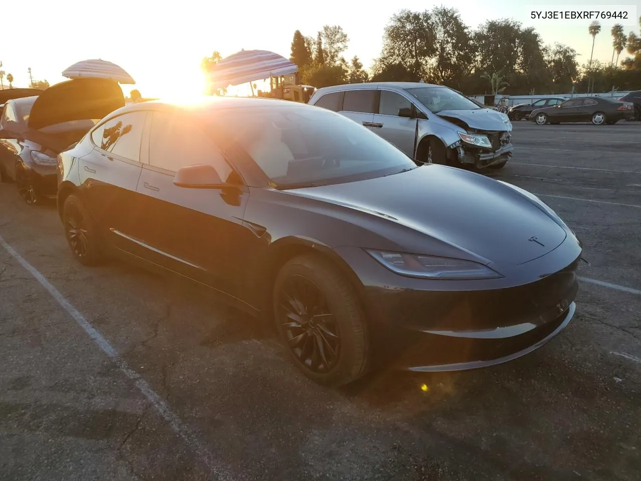 2024 Tesla Model 3 VIN: 5YJ3E1EBXRF769442 Lot: 80015974