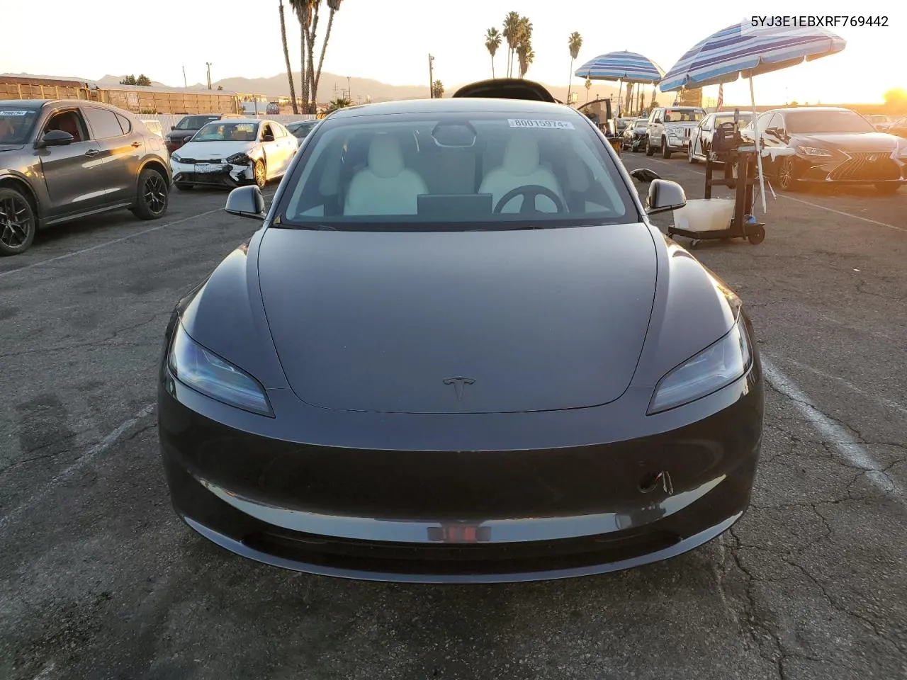 2024 Tesla Model 3 VIN: 5YJ3E1EBXRF769442 Lot: 80015974