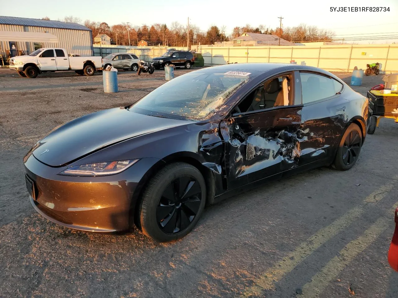 2024 Tesla Model 3 VIN: 5YJ3E1EB1RF828734 Lot: 80325614