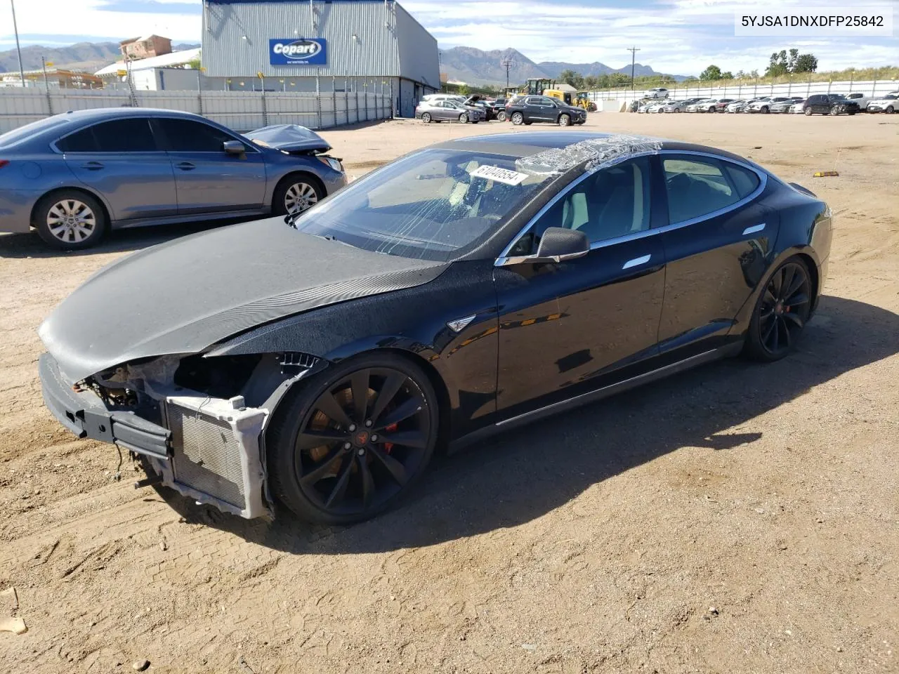 2013 Tesla Model S VIN: 5YJSA1DNXDFP25842 Lot: 61040554