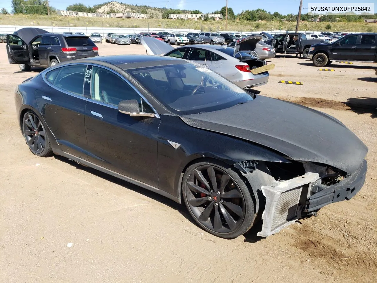 2013 Tesla Model S VIN: 5YJSA1DNXDFP25842 Lot: 61040554