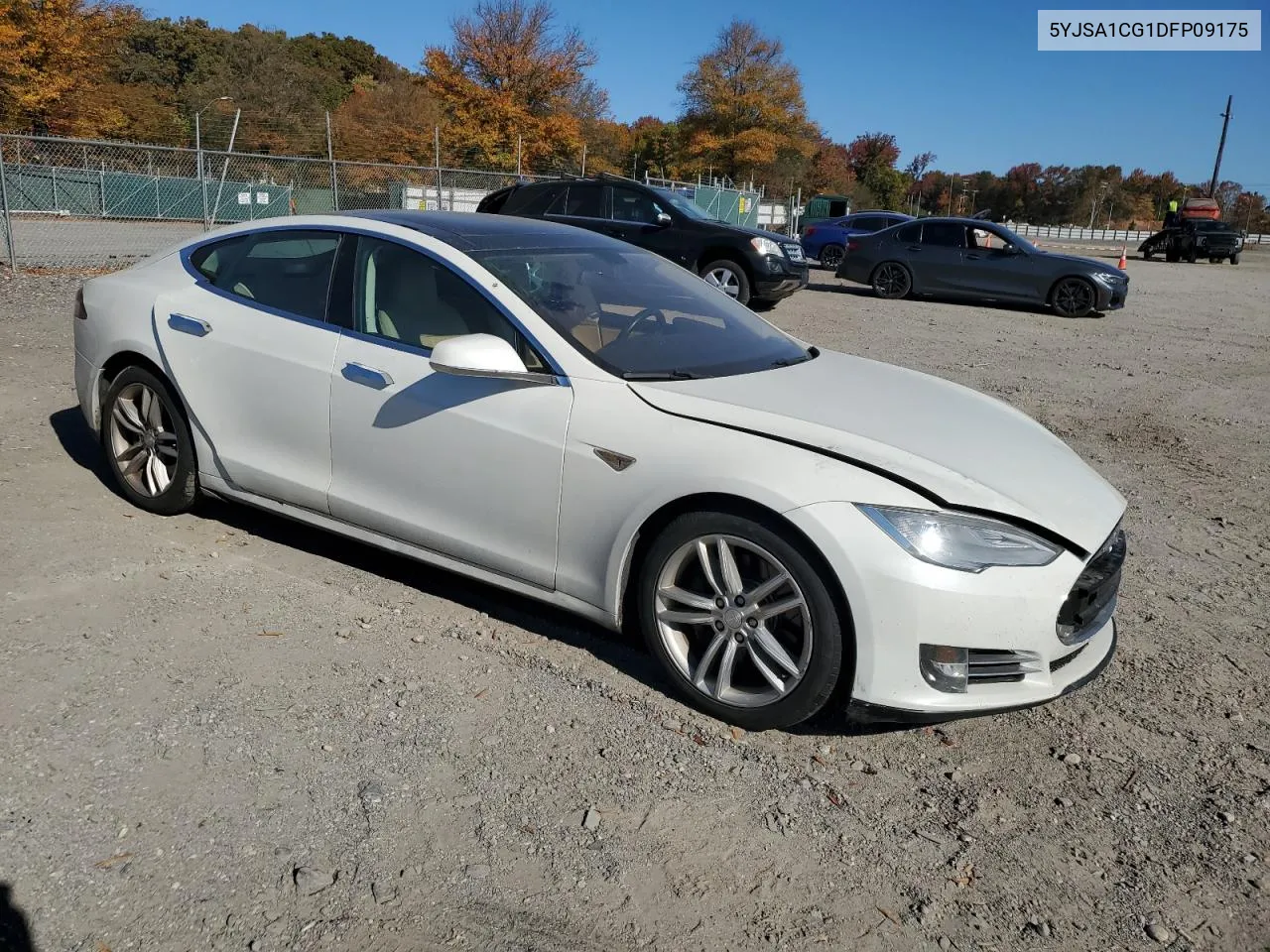 2013 Tesla Model S VIN: 5YJSA1CG1DFP09175 Lot: 76965274